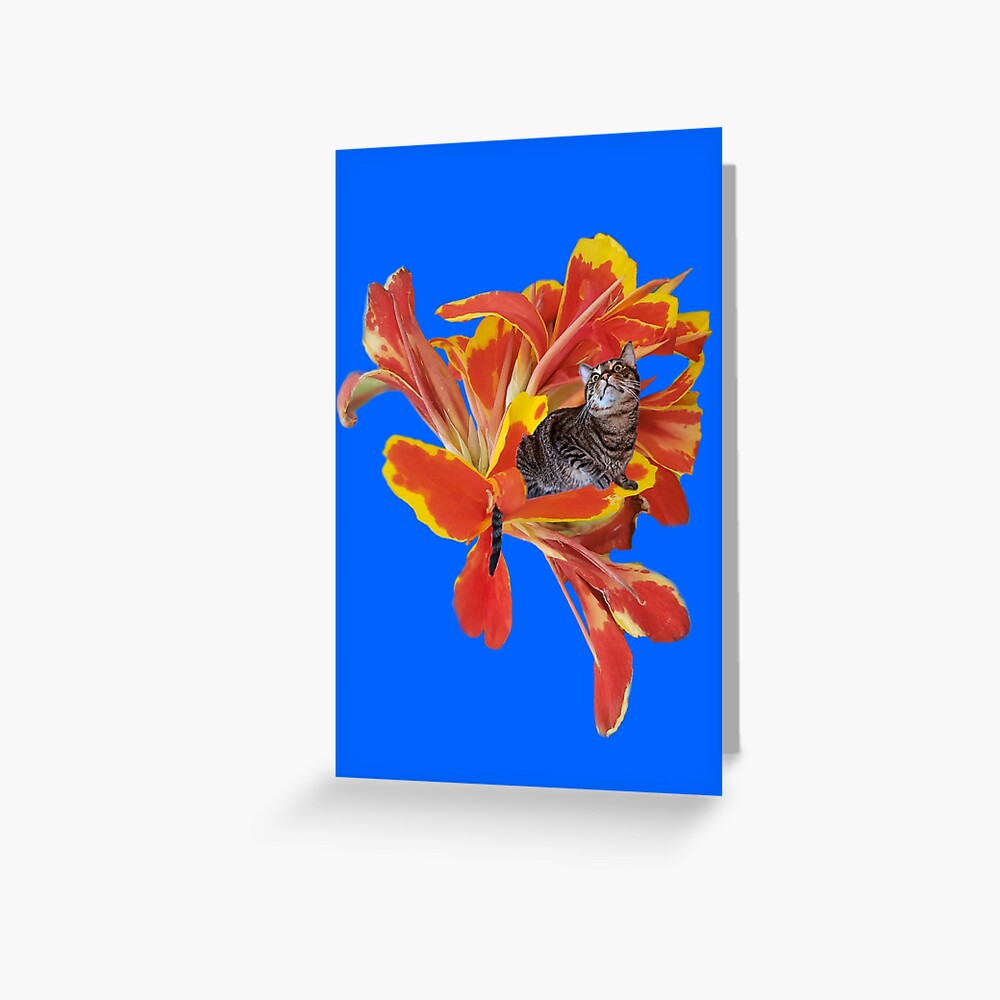 Item preview, Greeting Card designed and sold by FlynnTheGr8.
