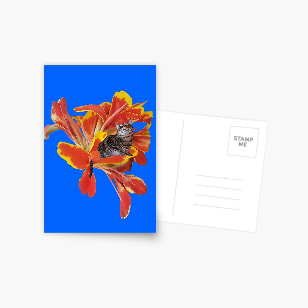 Item preview, Postcard designed and sold by FlynnTheGr8.