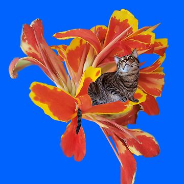 Artwork thumbnail, Tiny Cat on Bold Orange Flower by ArtOfFlynn