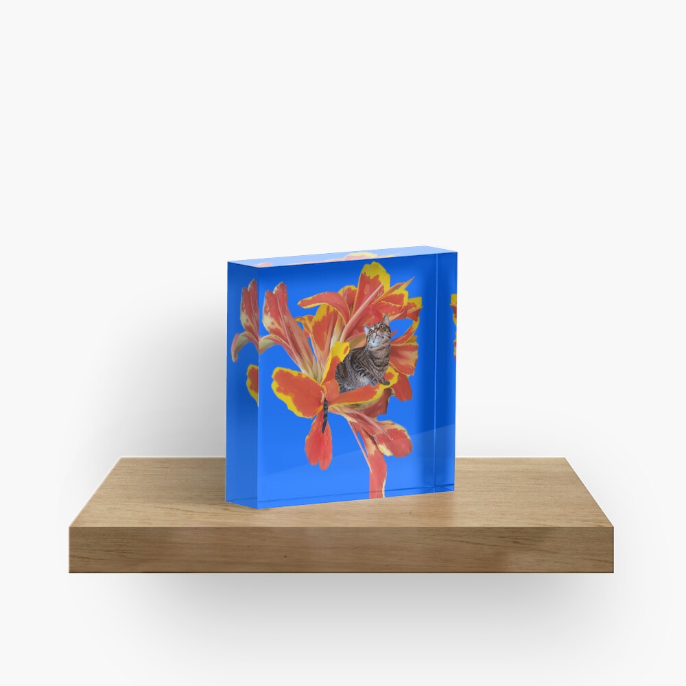 Item preview, Acrylic Block designed and sold by FlynnTheGr8.