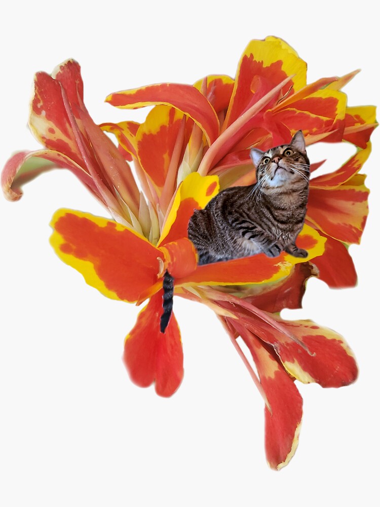 Thumbnail 3 of 3, Sticker, Tiny Cat on Bold Orange Flower designed and sold by FlynnTheGr8.