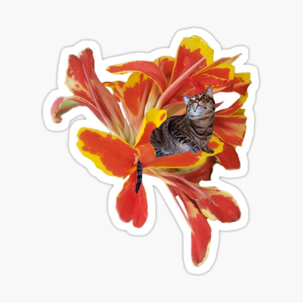 Tiny Cat on Bold Orange Flower Sticker