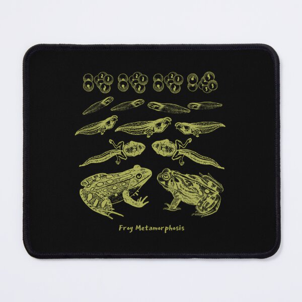 Item preview, Vintage Frog Life Cycle Design Toad Tadpole Metamorphosis for Biology and Natural History Lovers designed and sold by iuqnjolj86.