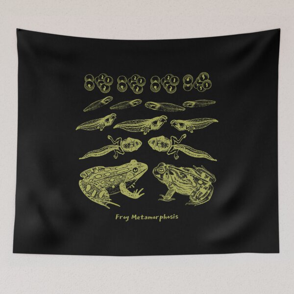 Item preview, Vintage Frog Life Cycle Design Toad Tadpole Metamorphosis for Biology and Natural History Lovers  	 designed and sold by iuqnjolj86.