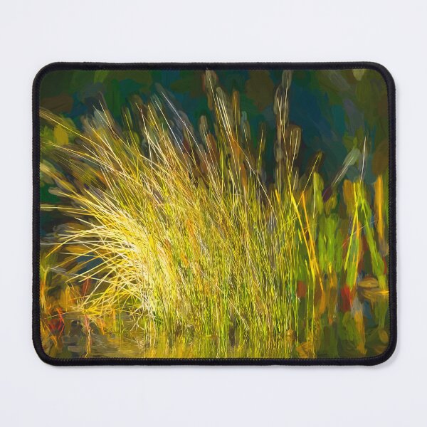 Item preview, Sunlight on Grass Merritt Island NWR X100 designed and sold by RichFrancoCars.