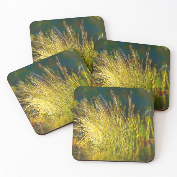 Item preview, Sunlight on Grass Merritt Island NWR X100 designed and sold by RichFrancoCars.