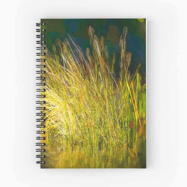 Item preview, Sunlight on Grass Merritt Island NWR X100 designed and sold by RichFrancoCars.