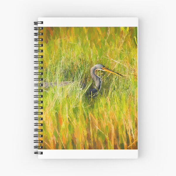 Item preview, Tricolored Heron Focused X100 designed and sold by RichFrancoCars.