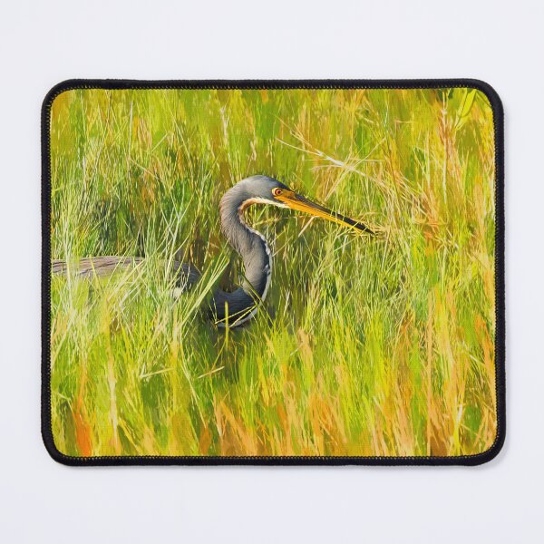 Item preview, Tricolored Heron Focused X100 designed and sold by RichFrancoCars.