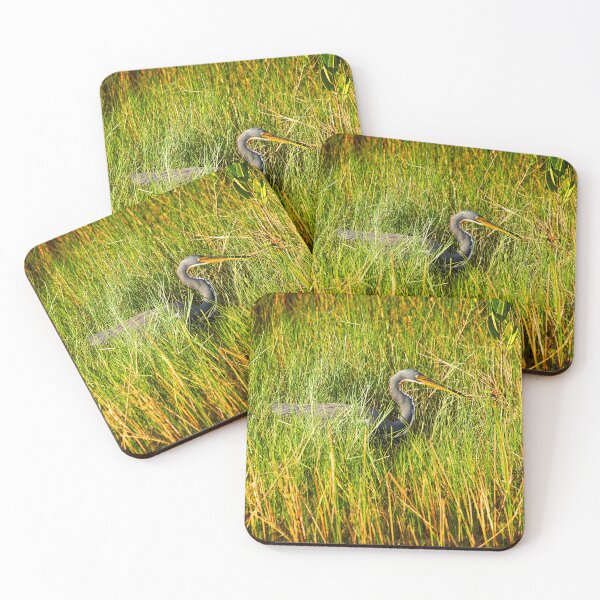 Item preview, Copy of Tricolored Heron Focused X100 designed and sold by RichFrancoCars.