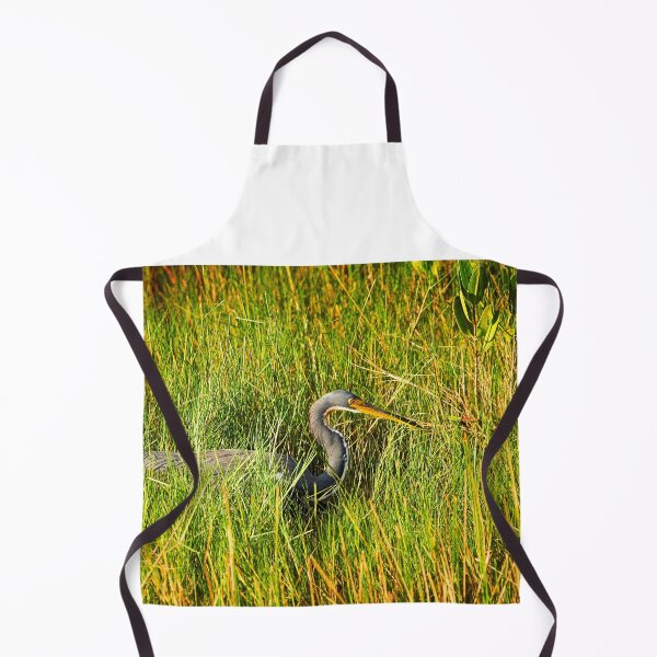Item preview, Copy of Tricolored Heron Focused X100 designed and sold by RichFrancoCars.