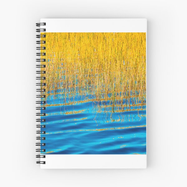 Item preview, Blue Waters Golden Grass  Merritt Island National Wildlife Refuge X100 designed and sold by RichFrancoCars.