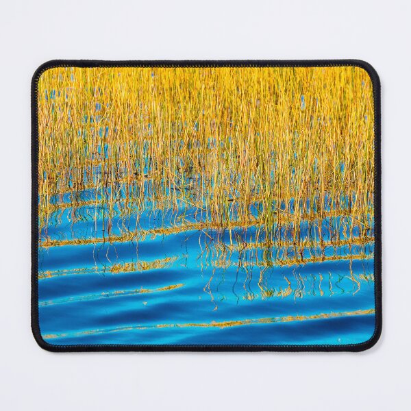 Item preview, Blue Waters Golden Grass Merritt Island National Wildlife Refuge X100 designed and sold by RichFrancoCars.
