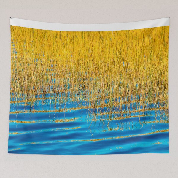 Item preview, Blue Waters Golden Grass  Merritt Island National Wildlife Refuge X100 designed and sold by RichFrancoCars.