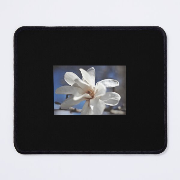 Item preview, Star Magnolia IV designed and sold by xnzfreamjs64.