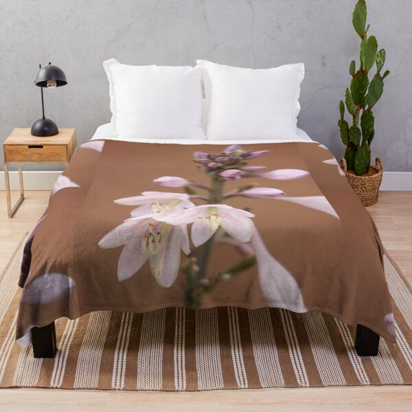 Item preview, Hosta capitata (Plantain Lily) designed and sold by MadeleineRoth.