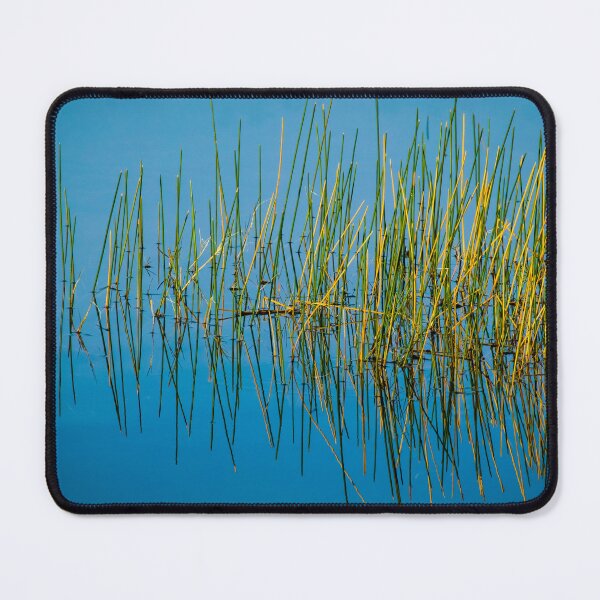 Item preview, Still Water and Grasses Merritt Island National Wildlife Refuge X100 designed and sold by RichFrancoCars.