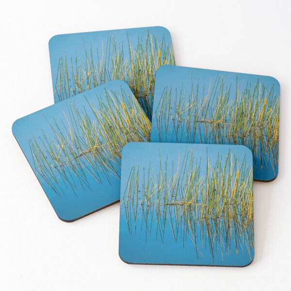 Item preview, Still Water and Grasses Merritt Island National Wildlife Refuge X100 designed and sold by RichFrancoCars.