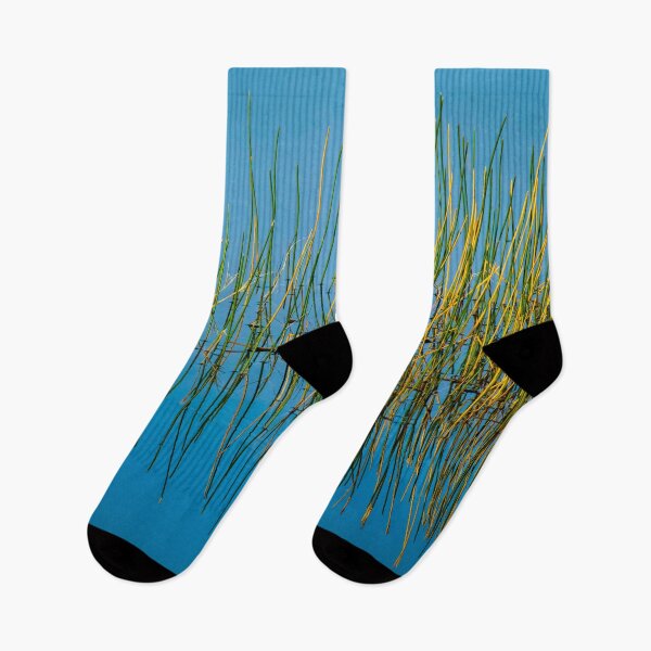 Item preview, Still Water and Grasses Merritt Island National Wildlife Refuge X100 designed and sold by RichFrancoCars.