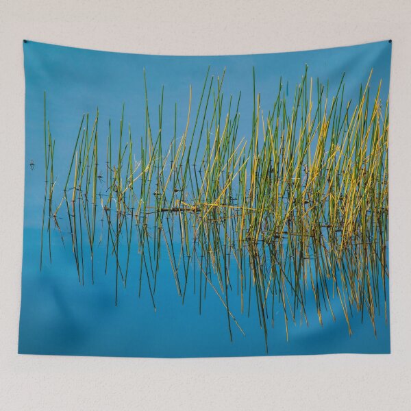 Item preview, Still Water and Grasses Merritt Island National Wildlife Refuge X100 designed and sold by RichFrancoCars.