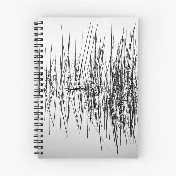 Item preview, Still Water and Grasses Merritt Island National Wildlife Refuge X101 designed and sold by RichFrancoCars.