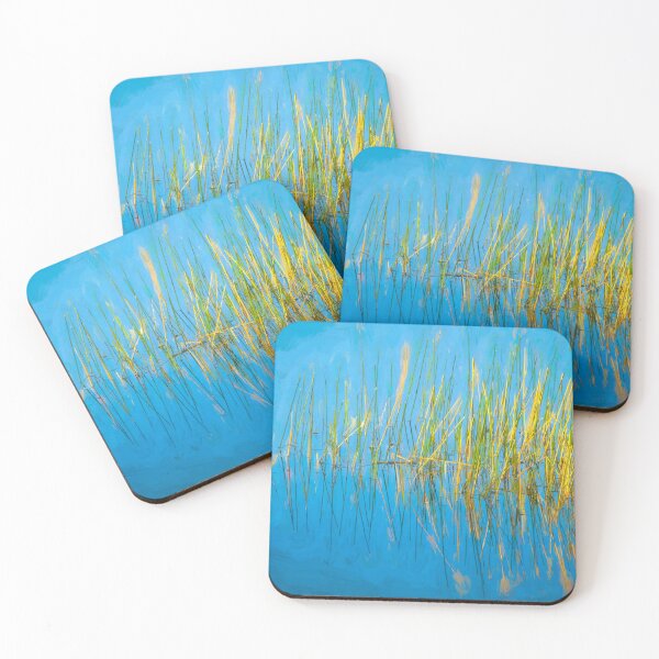 Item preview, Still Water and Grasses Merritt Island National Wildlife Refuge X101 designed and sold by RichFrancoCars.
