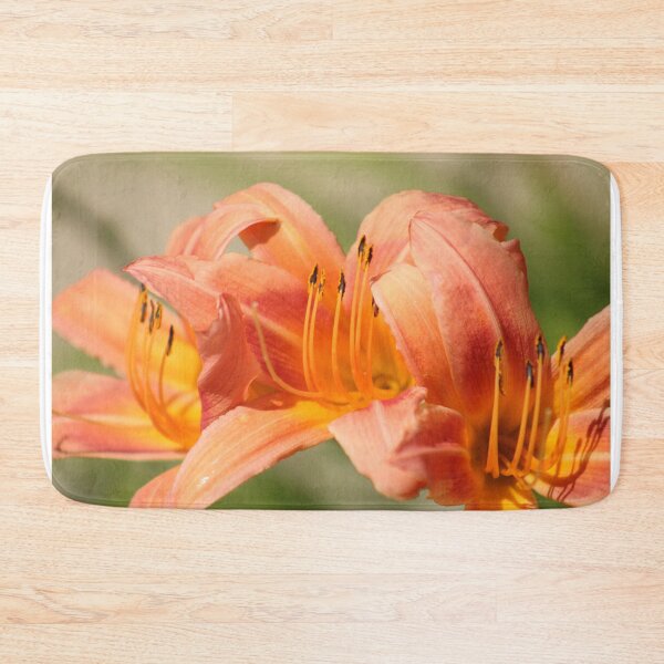 Item preview, Hemerocallis fulva (Orange daylily) designed and sold by MadeleineRoth.