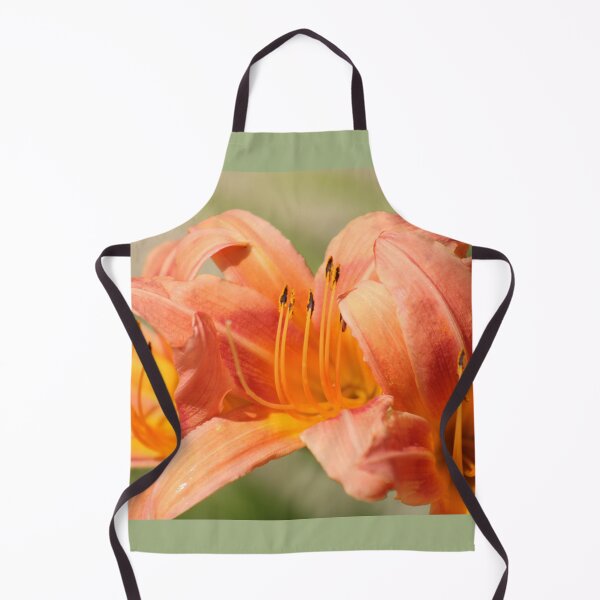 Item preview, Hemerocallis fulva (Orange daylily) designed and sold by MadeleineRoth.