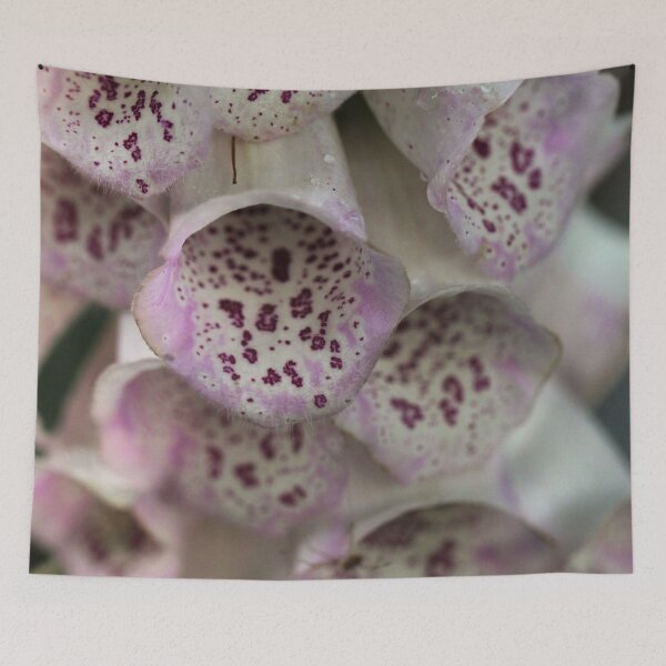 Item preview, Foxgloves up close designed and sold by cuprum.