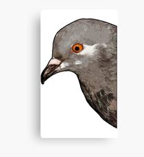 Brian the Pigeon Canvas Print