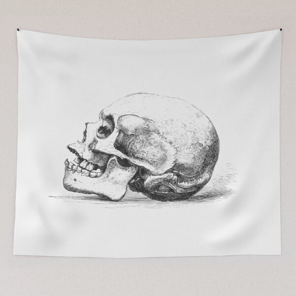 Item preview, Drawing skull side view designed and sold by Historyforyou.