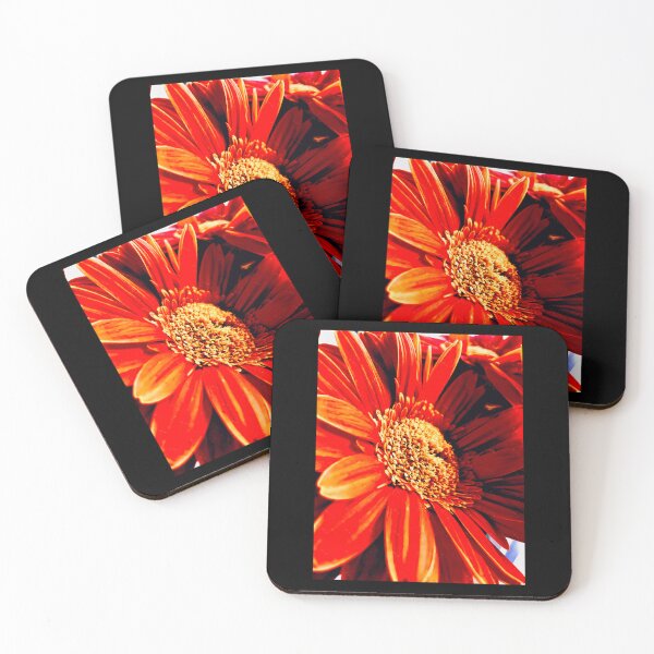 Item preview, Orange Gerbera  Scoop 	 designed and sold by oeuwulwyyvy39.