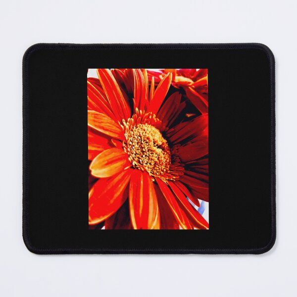 Item preview, Orange Gerbera  Scoop 	 designed and sold by oeuwulwyyvy39.
