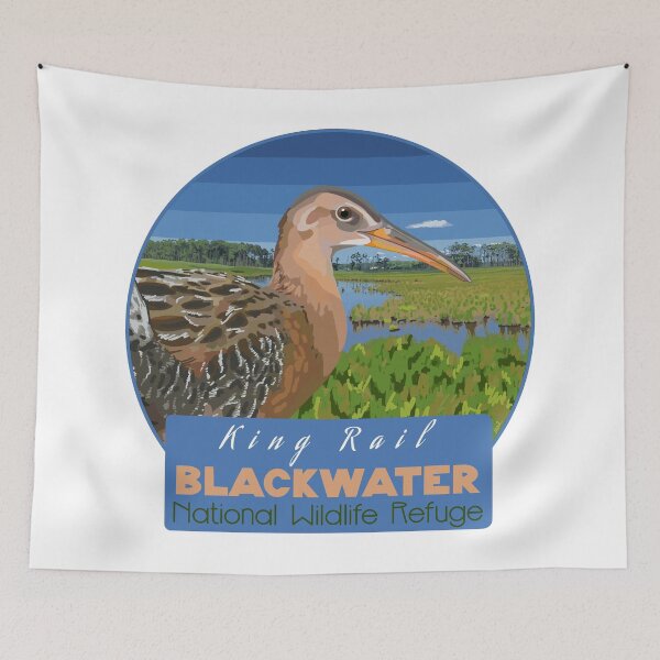 Item preview, Birds and Parks: Blackwater National Wildlife Refuge/King Rail designed and sold by LauraWolfArtist.