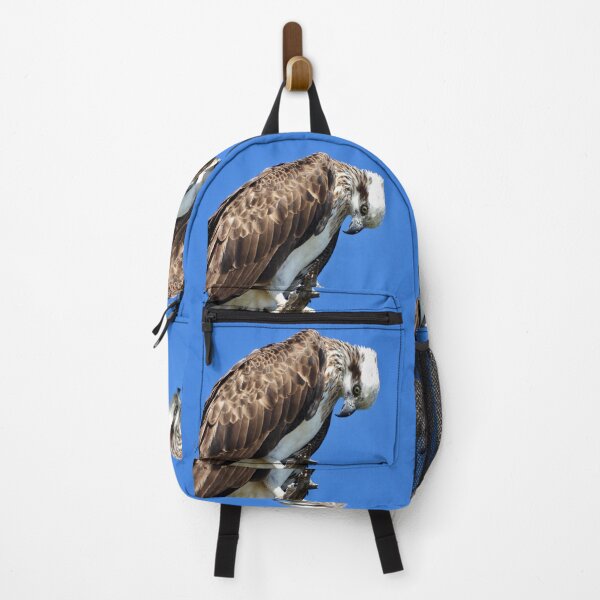 Item preview, Osprey having a quick rest designed and sold by Mark Grimsley.