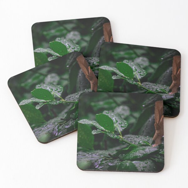 Item preview, Rain drops on Cool leaves designed and sold by SRosuphotos.