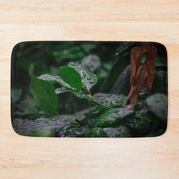 Item preview, Rain drops on Cool leaves designed and sold by SRosuphotos.