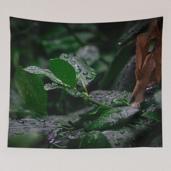 Item preview, Rain drops on Cool leaves designed and sold by SRosuphotos.