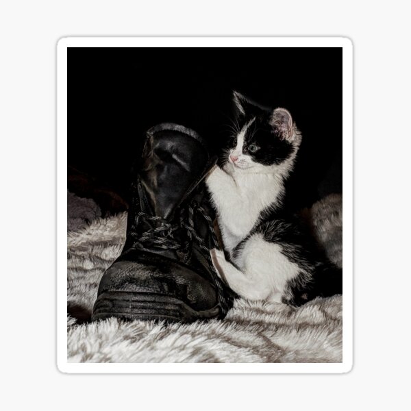 Item preview, Black and white kitten with boot designed and sold by HaleyRedshaw.