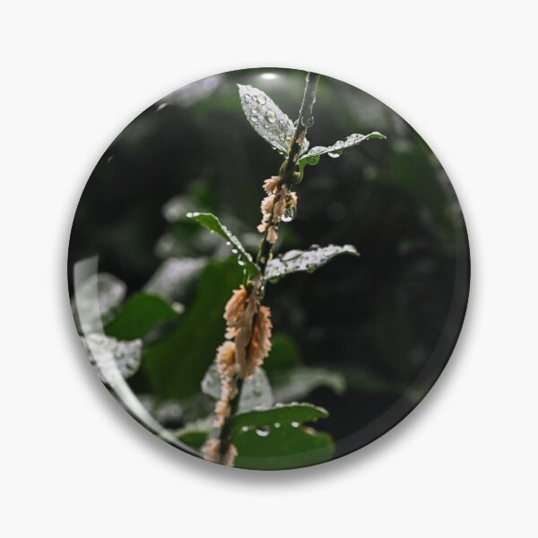 Item preview, Rain on leaves reach for the light designed and sold by SRosuphotos.