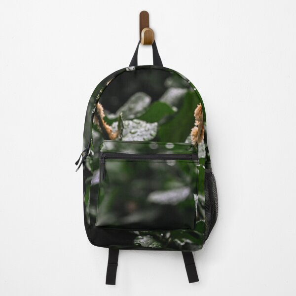 Item preview, Rain on leaves reach for the light designed and sold by SRosuphotos.