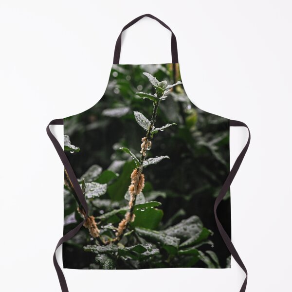 Item preview, Rain on leaves reach for the light designed and sold by SRosuphotos.