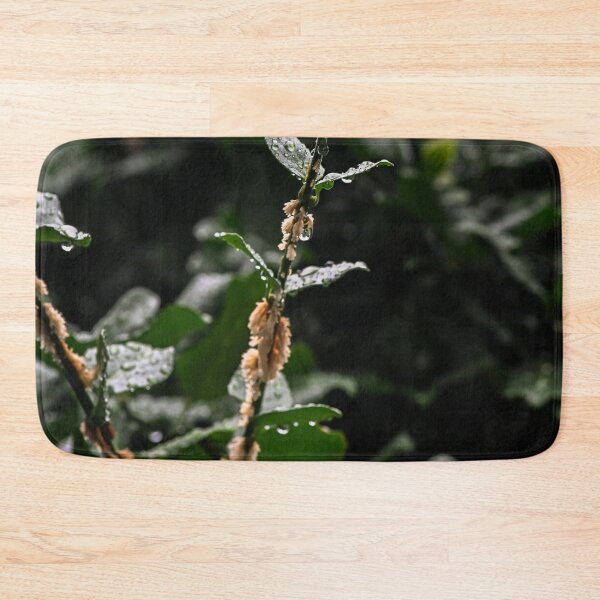 Item preview, Rain on leaves reach for the light designed and sold by SRosuphotos.