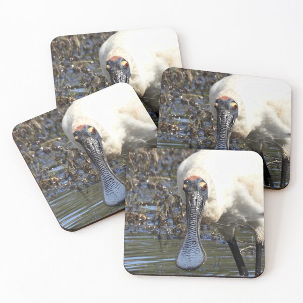 Item preview, Spoonbill awesome markings designed and sold by Mark Grimsley.