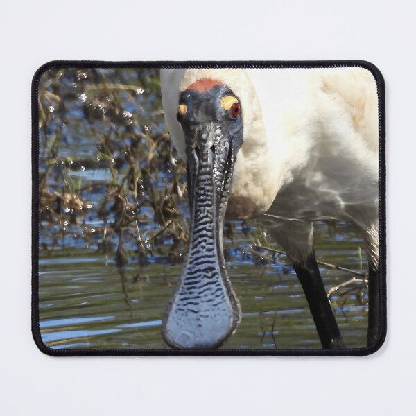 Item preview, Spoonbill awesome markings designed and sold by Mark Grimsley.