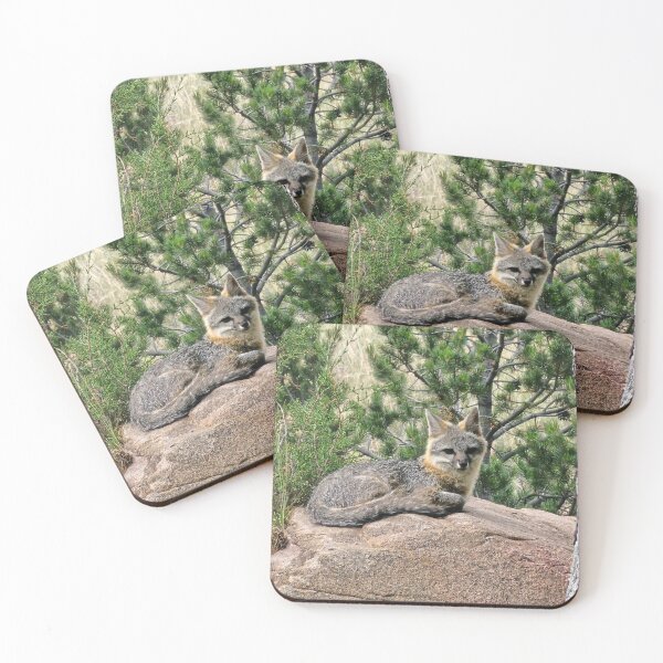 Item preview, Gray fox designed and sold by Paszekphotos.
