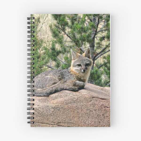 Item preview, Gray fox designed and sold by Paszekphotos.