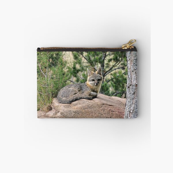 Item preview, Gray fox designed and sold by Paszekphotos.