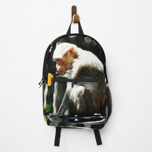 Item preview, A Monkey is eating something designed and sold by Rav33822.
