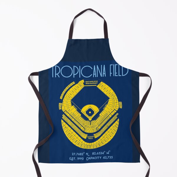 Item preview, Tampa Bay Rays Tropicana Field Stadium Poster Print designed and sold by Birch Trail Boutique.